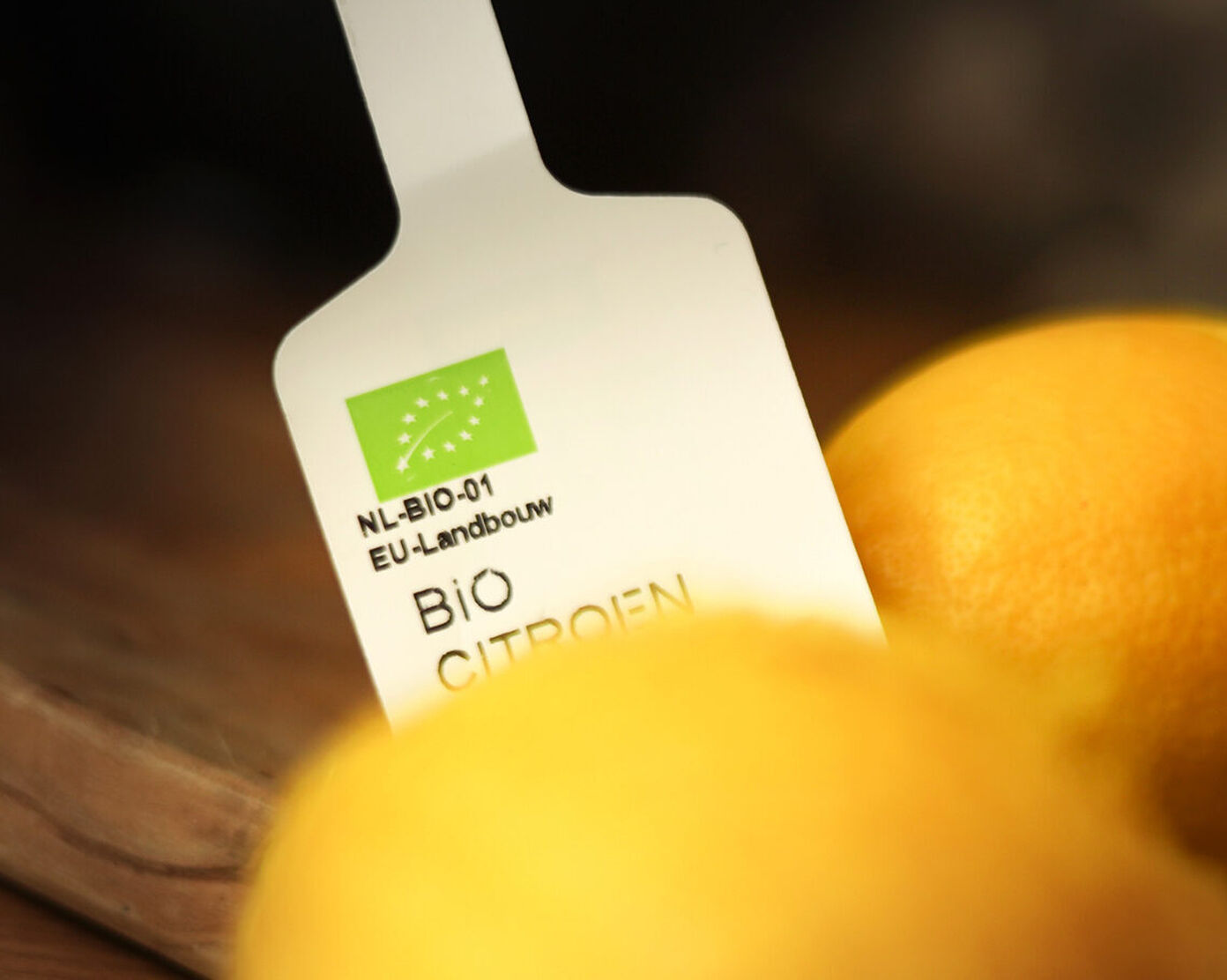 Koken bio 2 web